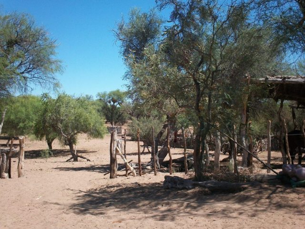 imagen Agüita para el desierto -Segunda Parte 