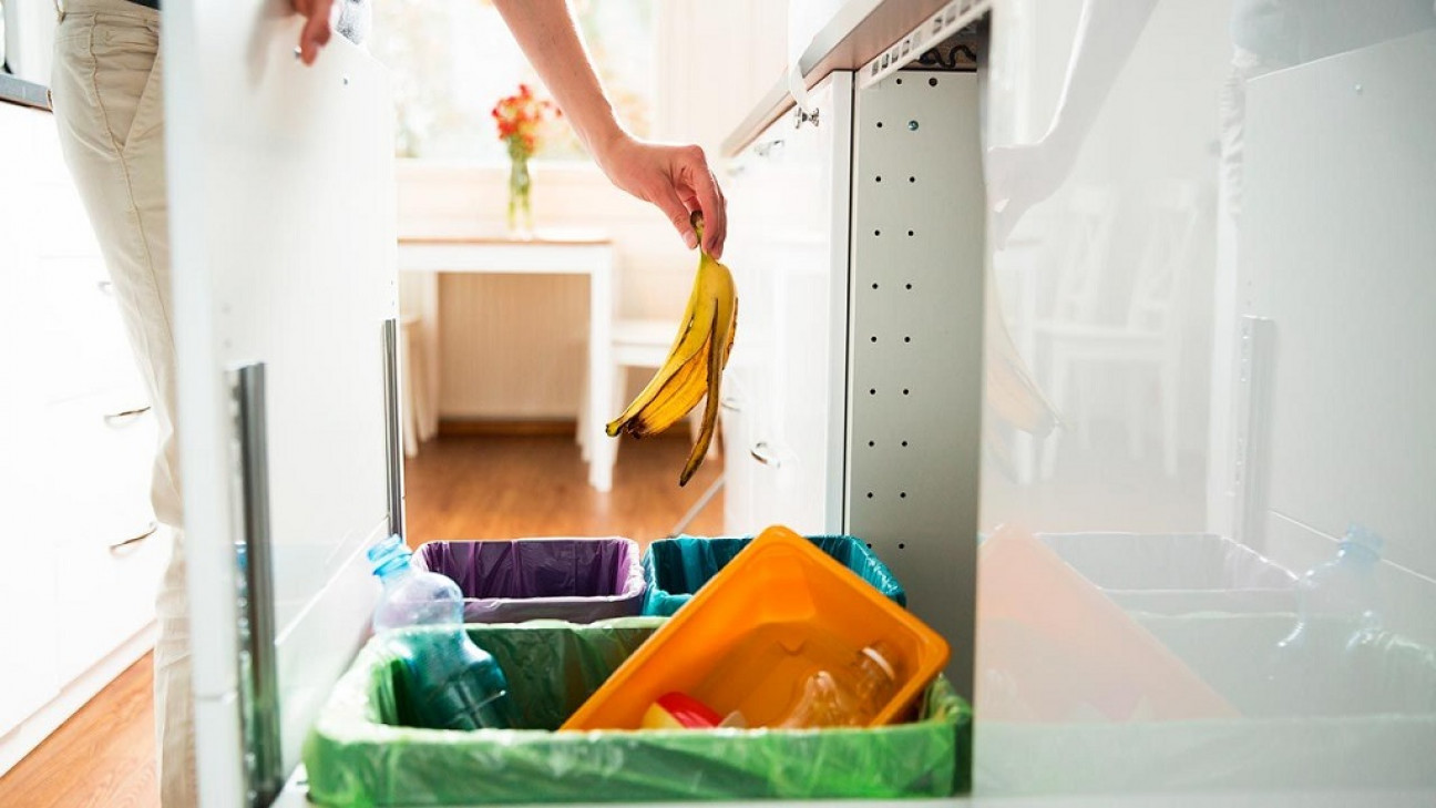 imagen La mitad de los residuos domiciliarios son orgánicos y pueden ser reciclados