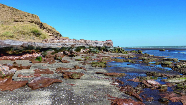 imagen Las Reservas Naturales de la Defensa protegen más de 400 mil hectáreas de ecosistemas argentinos