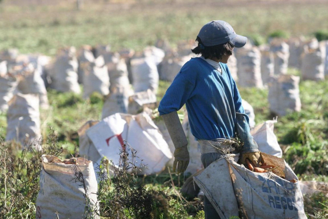 imagen Peligra la continuidad de la Subsecretaría de Agricultura Familiar en Mendoza