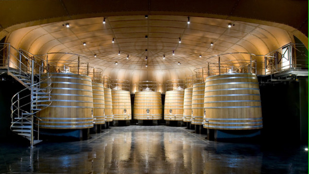 imagen Con el espíritu del vino y su cultura