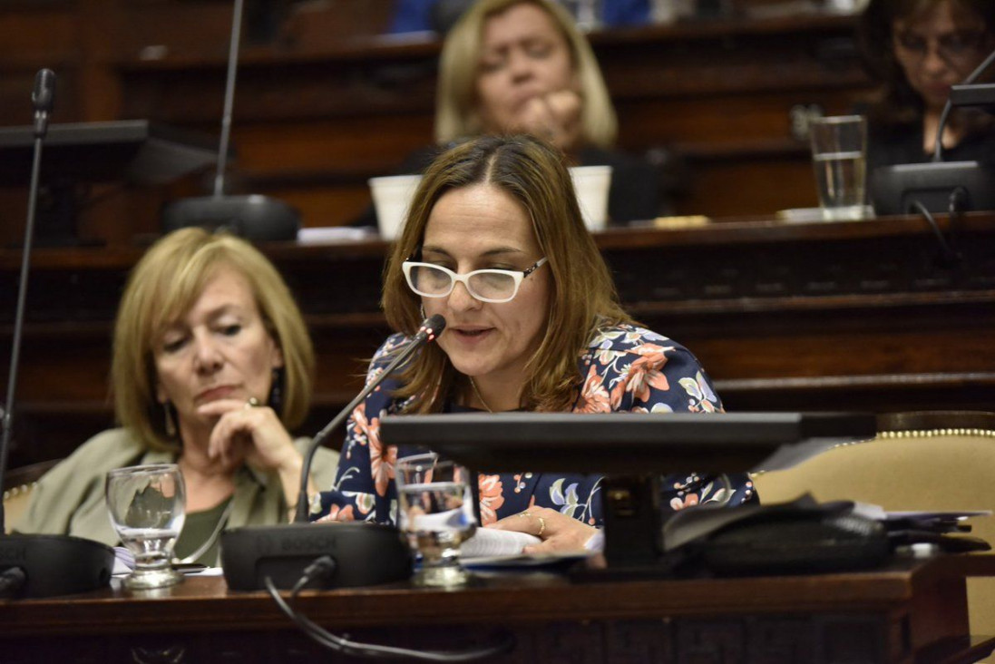 imagen Maltratos: pedido de informes al Ministerio