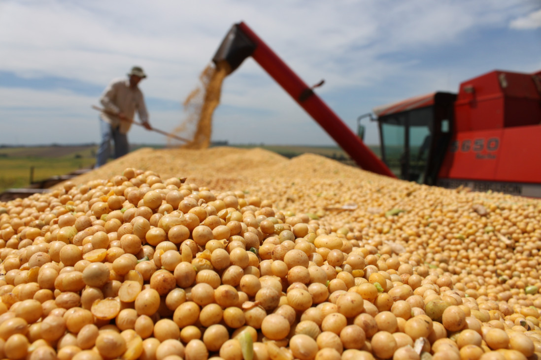 imagen Agroexportadores liquidaron en lo que va del año más de USD 10 720 millones