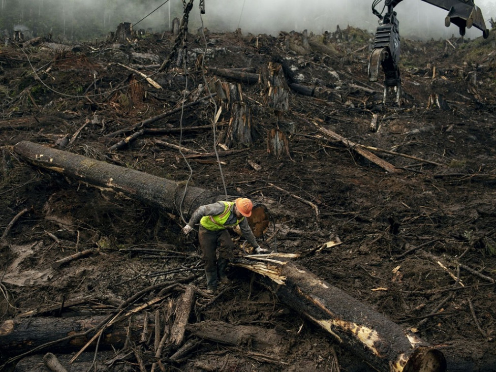 imagen La sobreexplotación de los suelos podría causar una sexta extinción masiva