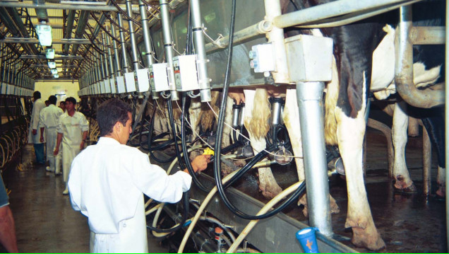 imagen Otorgan compensaciones económicas por $ 84 millones a productores tamberos
