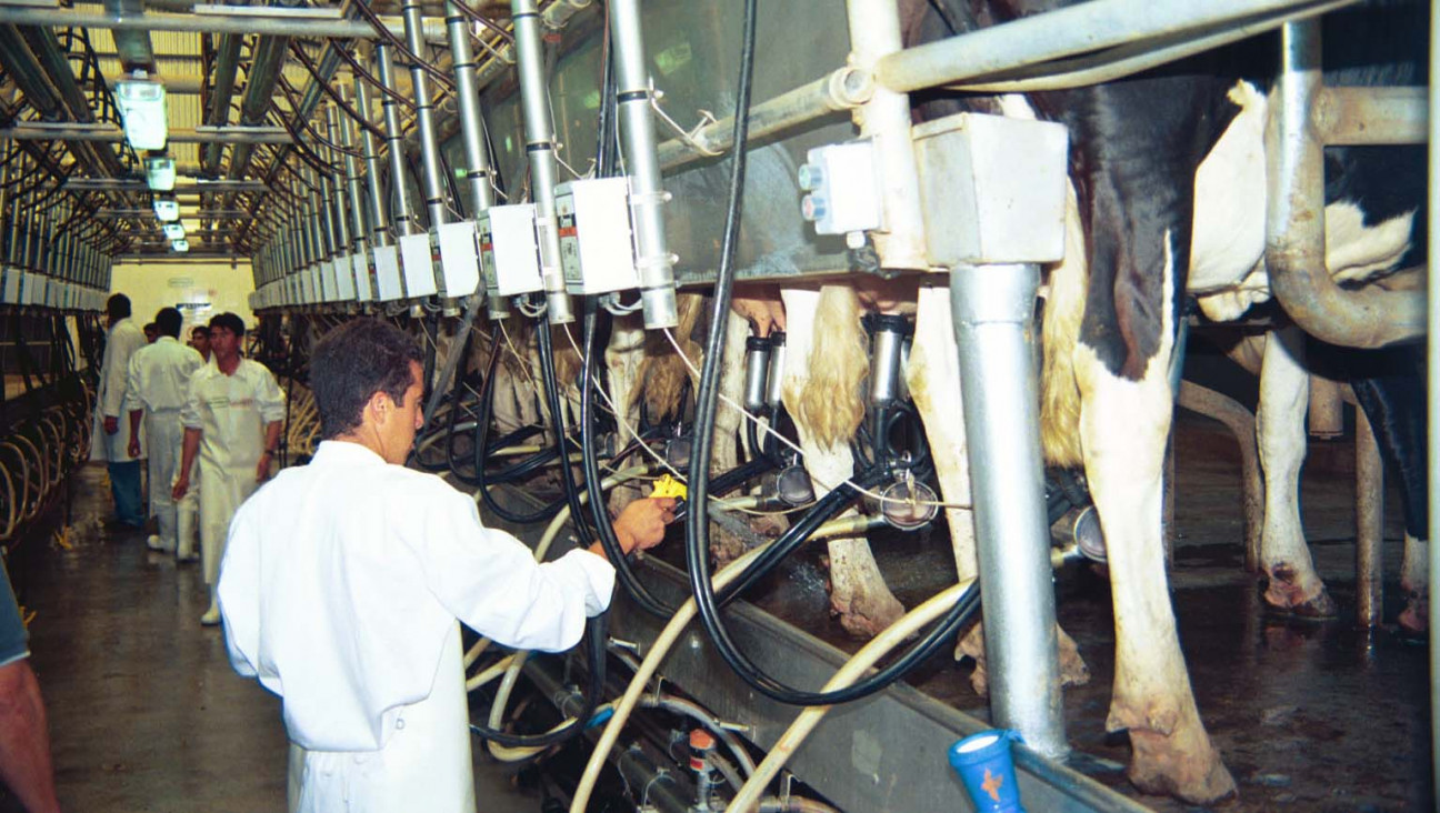imagen Se triplicaron las alergias a la leche de vaca en los bebés