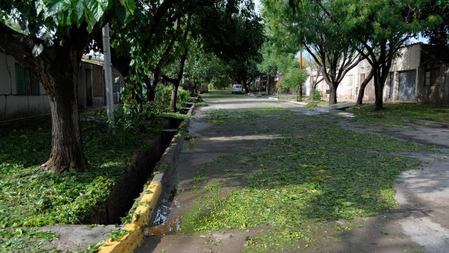 imagen La fuerte tormenta dejó casas inundadas, árboles caídos y cortes de luz