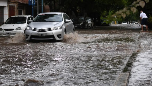 imagen Destrozos en viviendas, evacuaciones, árboles caídos y derrumbes: el saldo de la tormenta en Mendoza 
