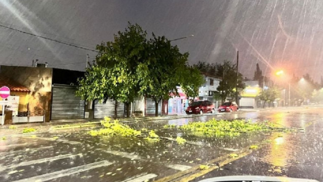 imagen Defensa Civil realizó 52 intervenciones tras la última tormenta 