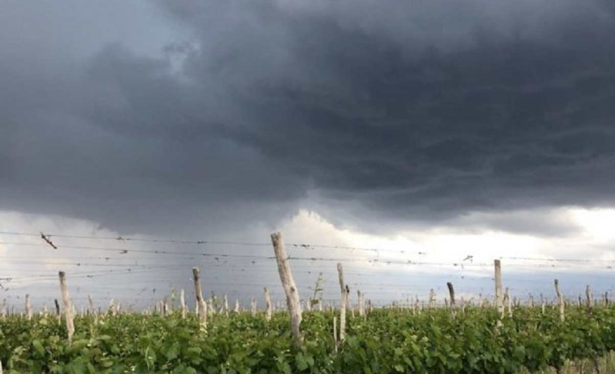 imagen Por ley, Mendoza otorgará beneficios al sector agropecuario afectado por las tormentas de granizo