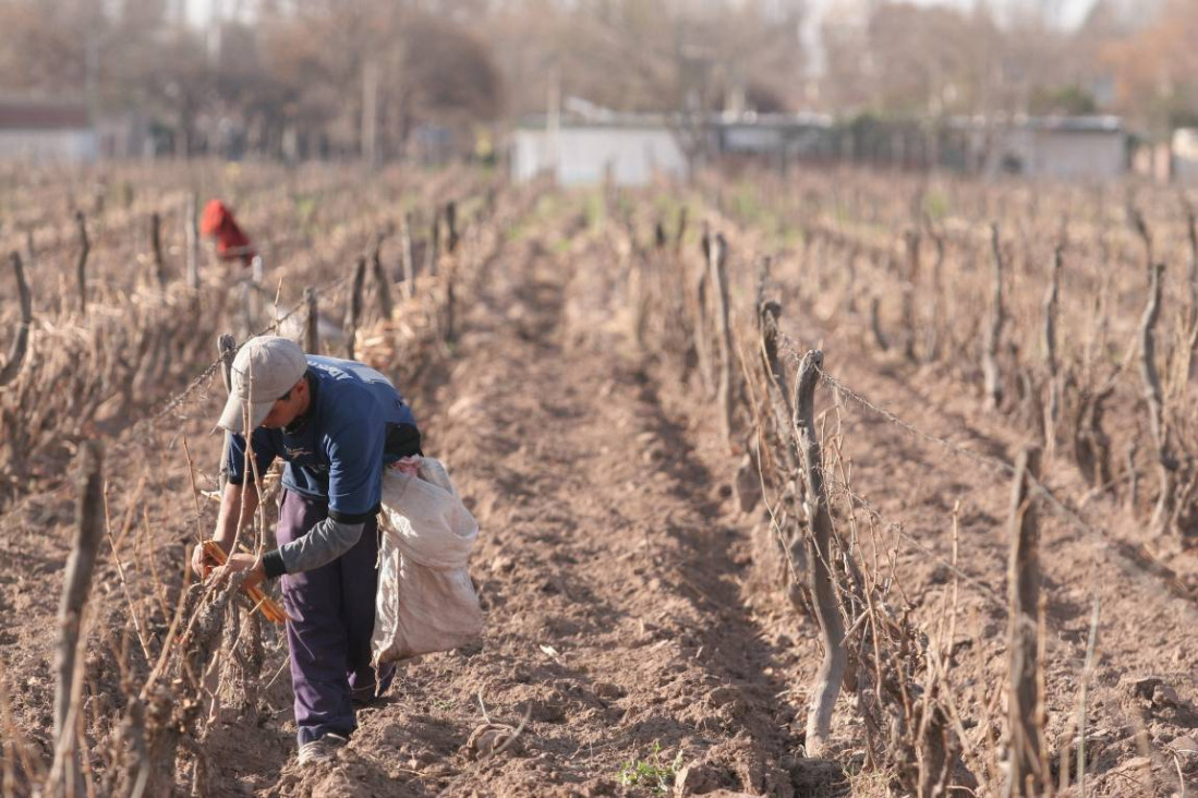 imagen "Hay trabajo decente en la medida en que no hay ni trata, ni trabajo infantil, ni trabajo forzoso"