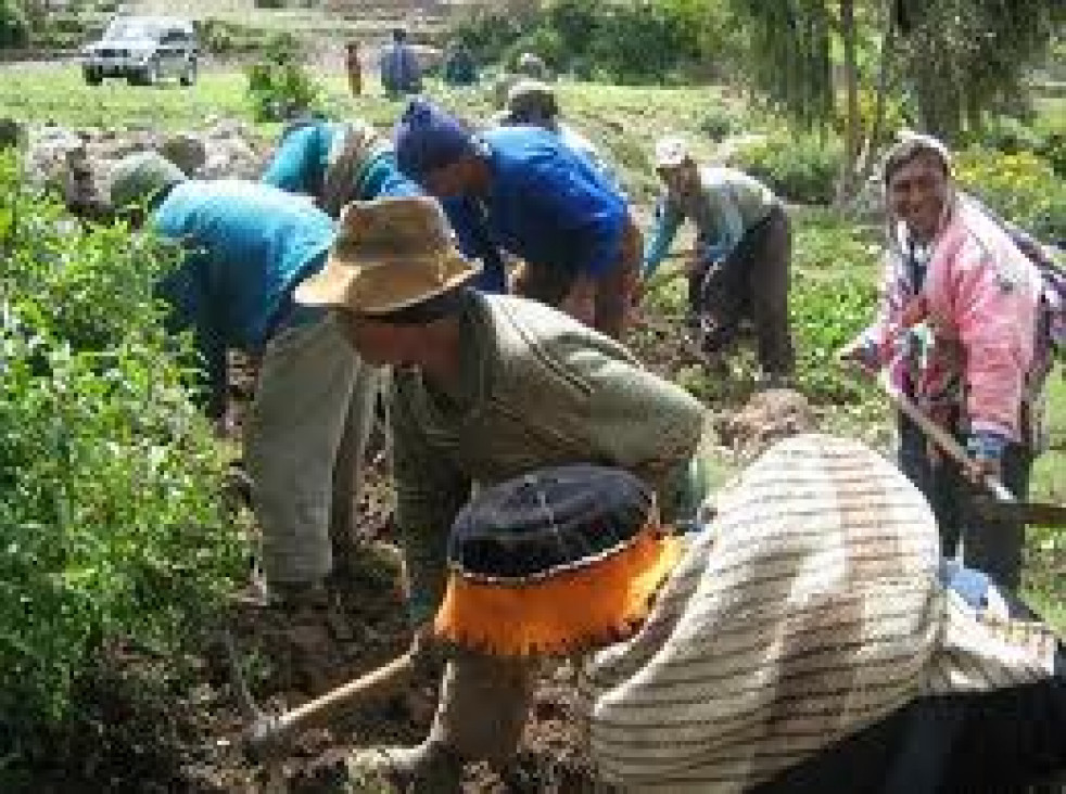imagen Trabajo rural: Esclavizan a los peones y evaden impuestos