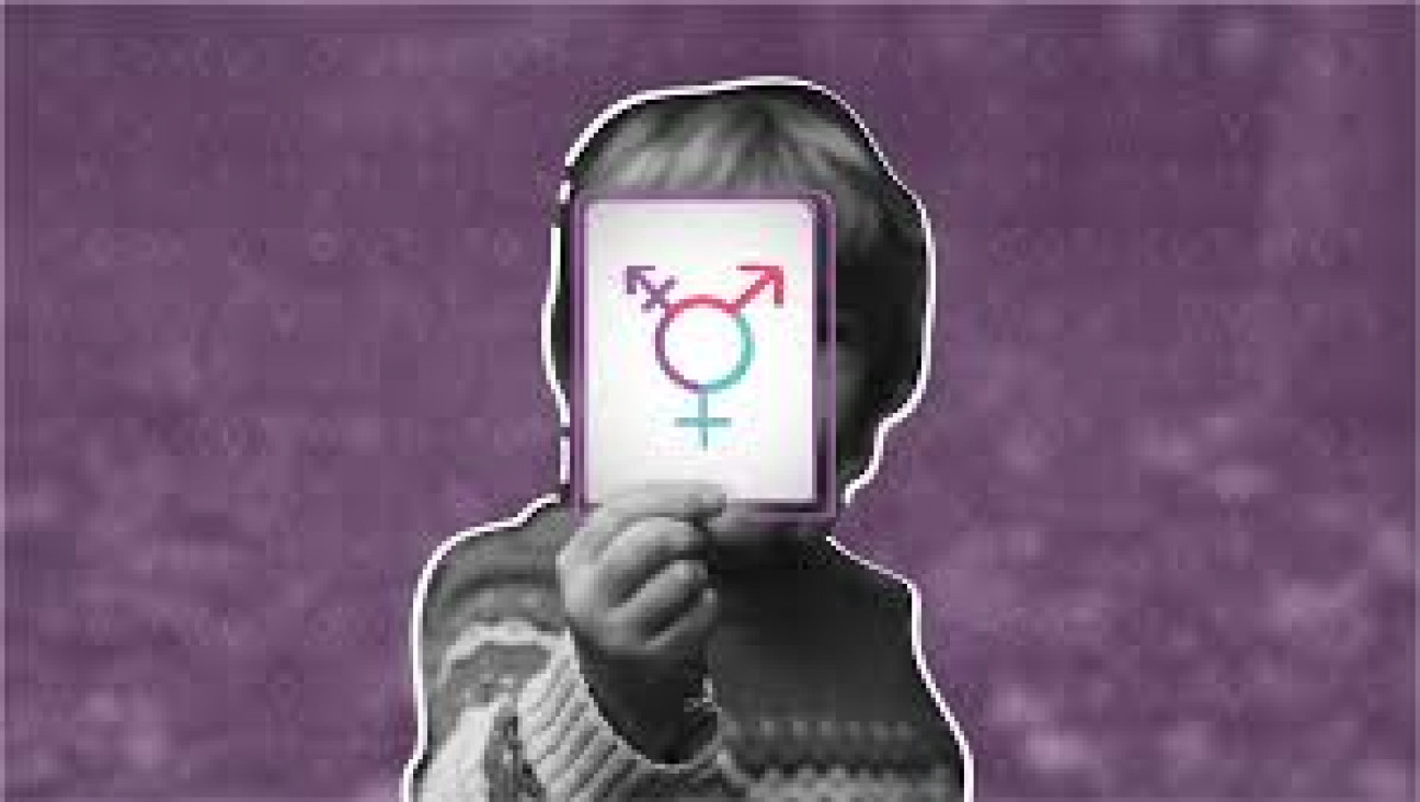 imagen Fallo inédito: ordenan que la identidad travesti figure en el DNI