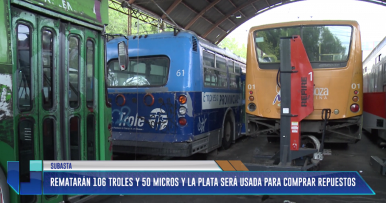 imagen Los troles van a remate