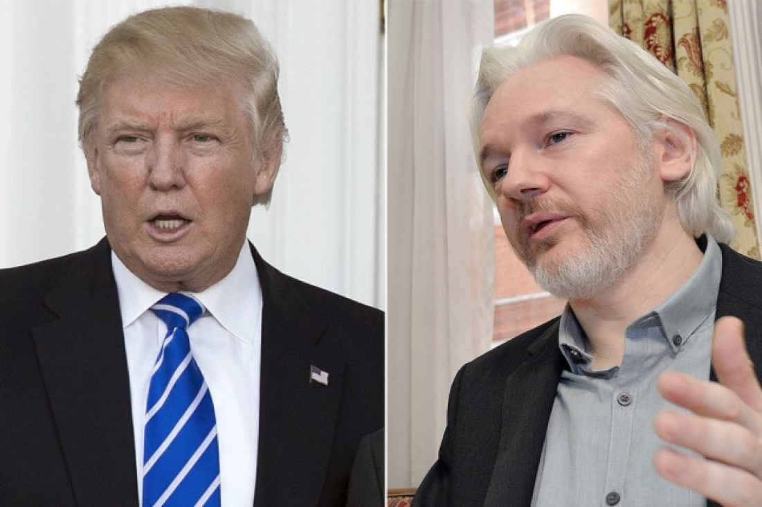imagen Trump defendió a Assange por el hackeo al asesor de Hillary Clinton