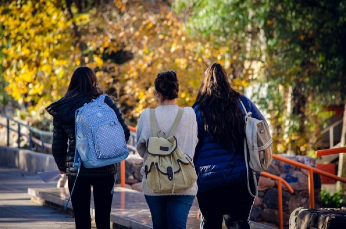 imagen Solo el 24% de las personas en Argentina tiene título terciario o universitario