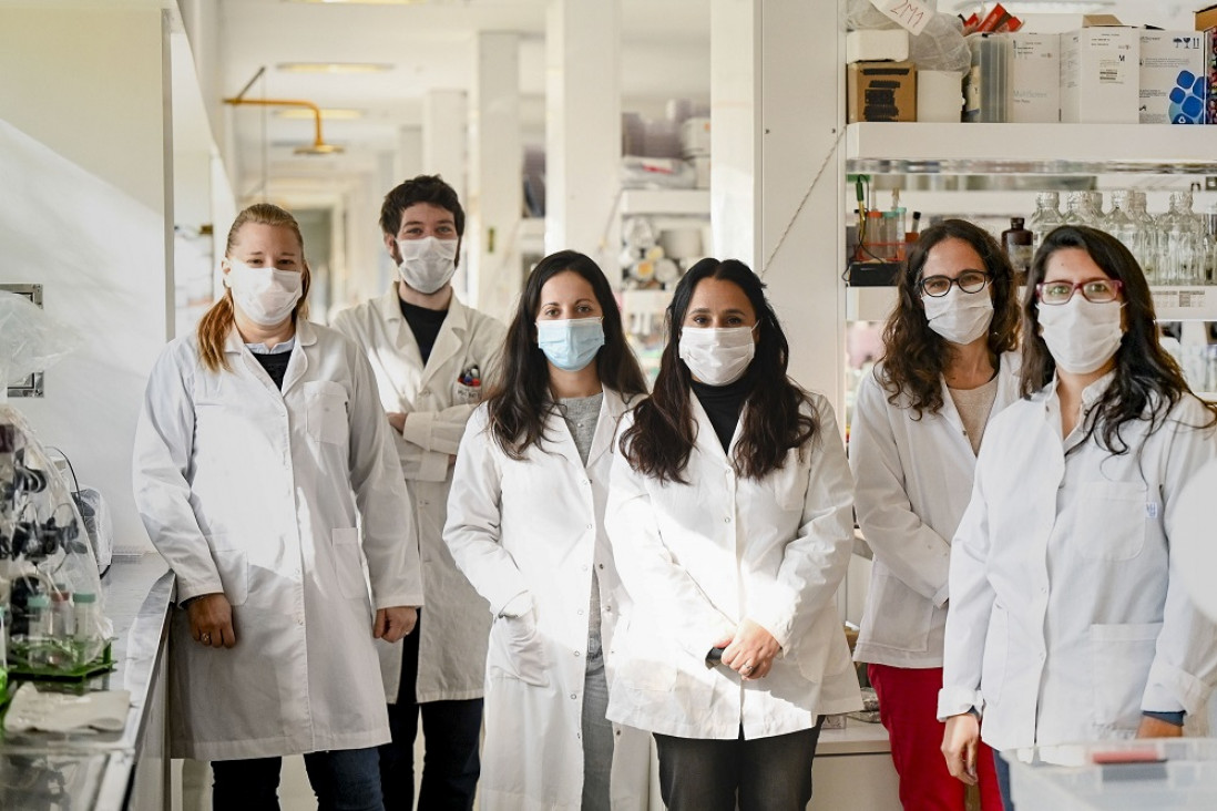 imagen Por primera vez, una vacuna preventiva de enfermedades infecciosas diseñada en Argentina completa la fase I