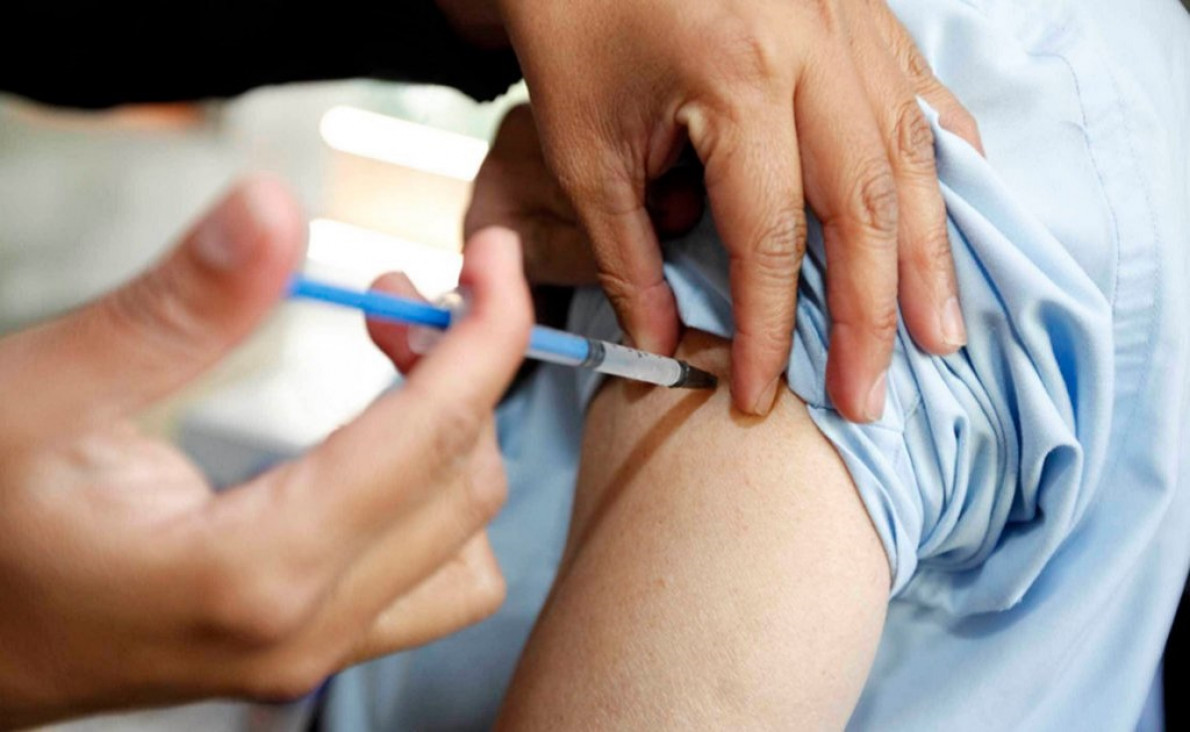 imagen Se registró el primer caso de fiebre amarilla en el país