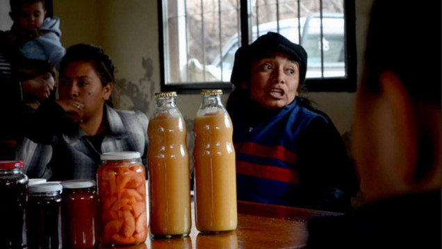 imagen La UNCUYO y vecinos lavallinos, juntos por los alimentos