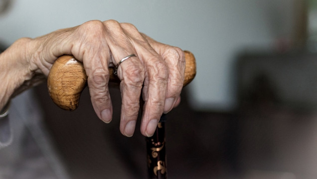 imagen Aumentaron un 15% las denuncias por violencia doméstica a personas mayores 