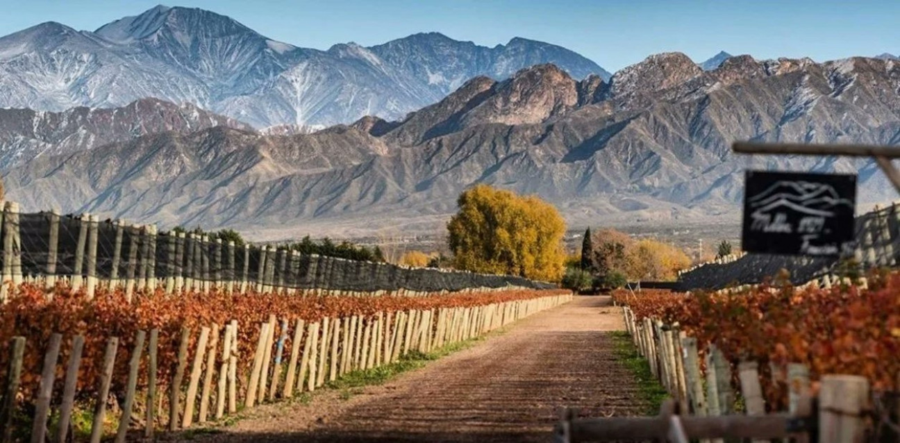 imagen Aportes patronales: "Será un antes y un después para el agro mendocino"