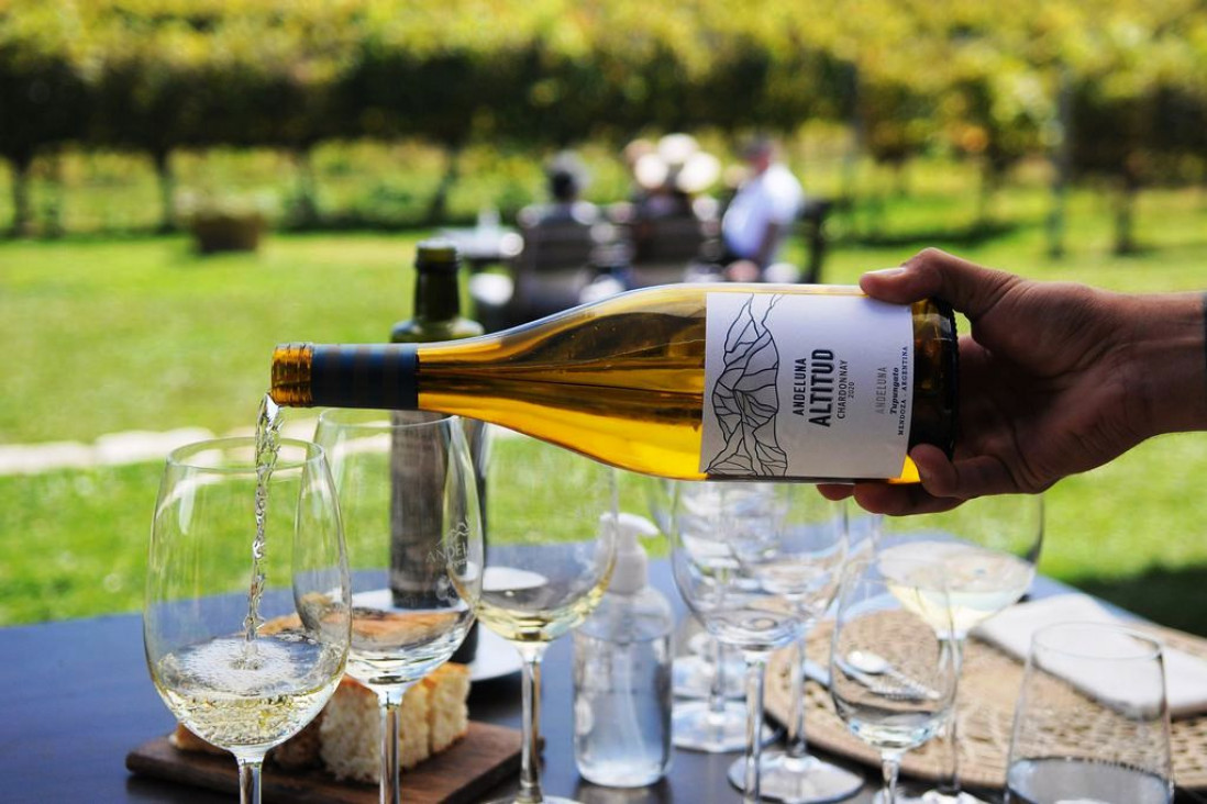 imagen Chardonnay, el varietal blanco más exportado de Argentina, tiene su base en Mendoza 
