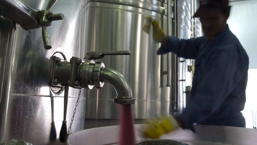 imagen ¿Por qué sobran 200 millones de litros de vino?