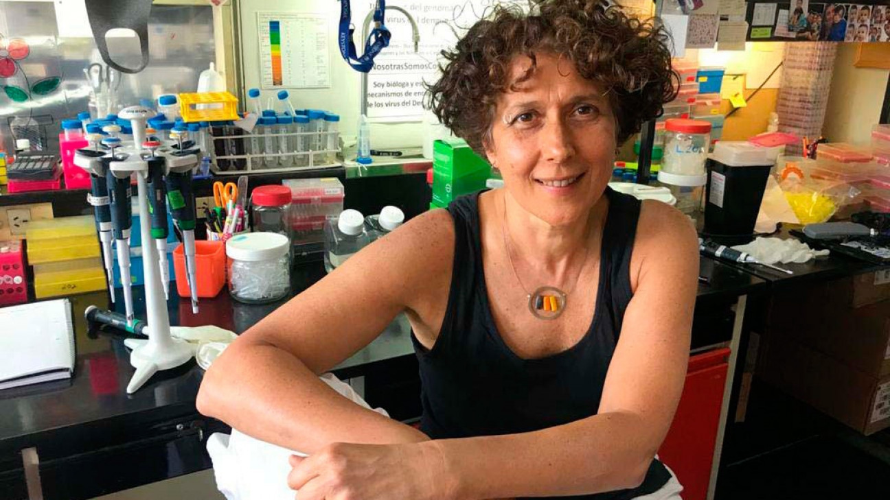 imagen La viróloga Andrea Gamarnik fue reconocida como "Investigadora de la Nación Argentina 2022"