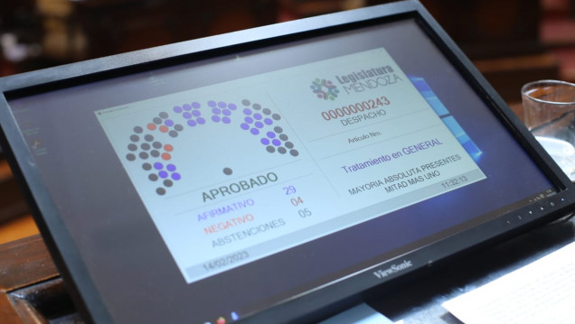 imagen El Senado aprobó la Declaración de Impacto Ambiental para explorar Cerro Amarillo