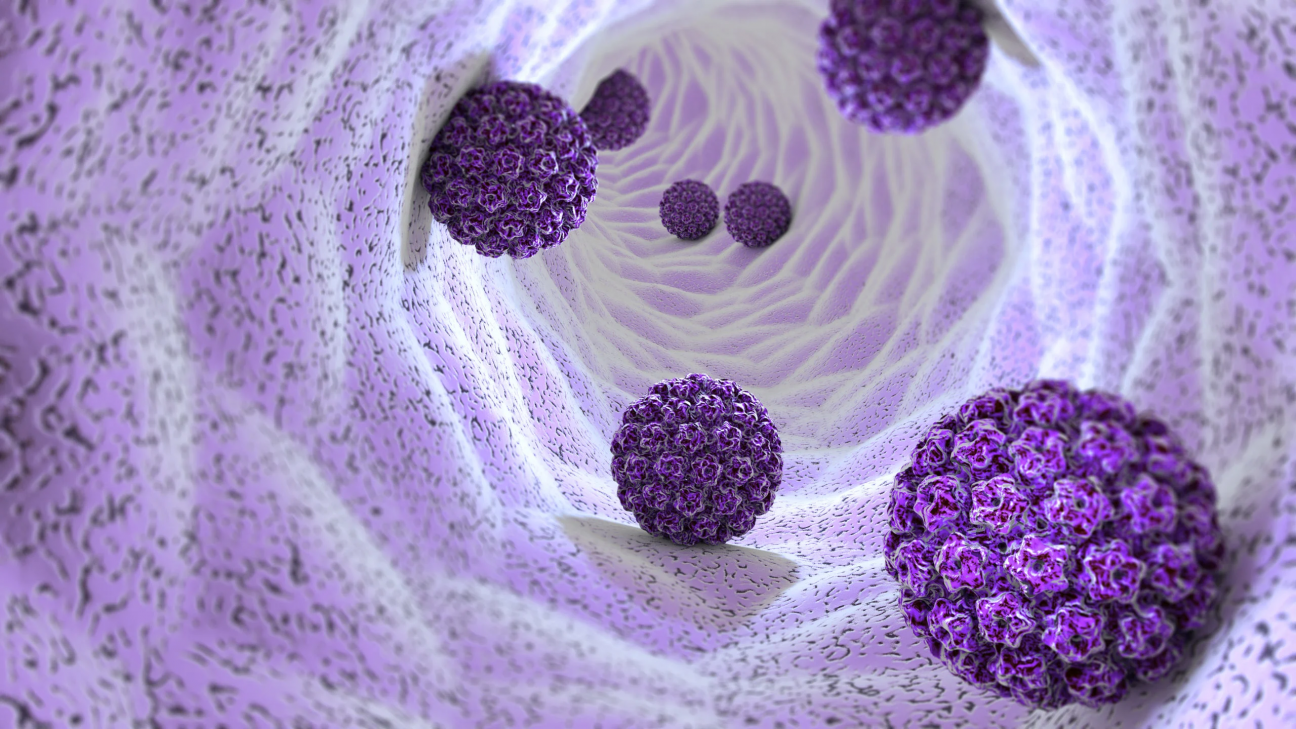 imagen Descubren cómo una proteína antitumoral bloquea la replicación del VPH