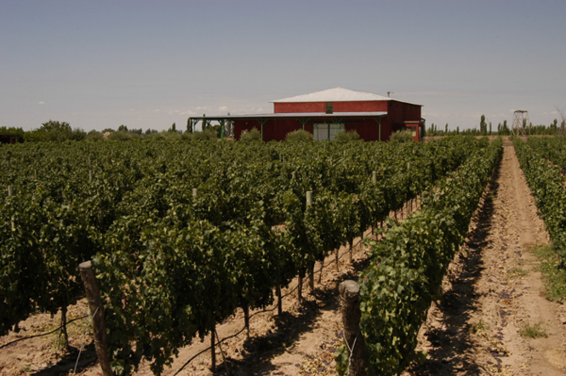 imagen Extranjeros interesados en el "valor natural" de las tierras de Mendoza