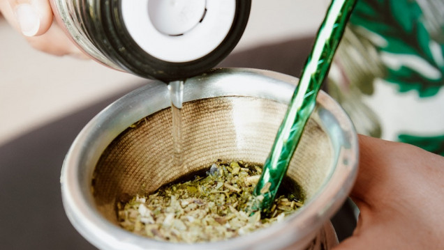 imagen  Equipo de la UNCUYO demostró el efecto protector de la yerba mate frente al cáncer de próstata