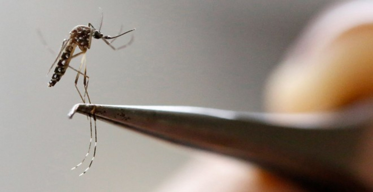 imagen Colombia, en el ojo de las epidemias