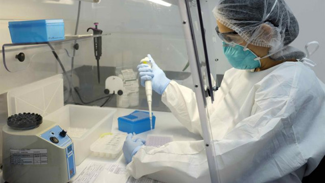 imagen Confirmado: el zika se transmite sexualmente