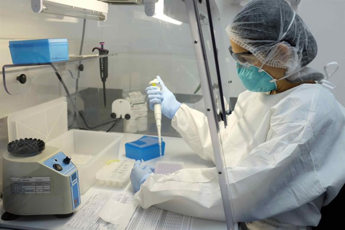 imagen Confirmado: el zika se transmite sexualmente