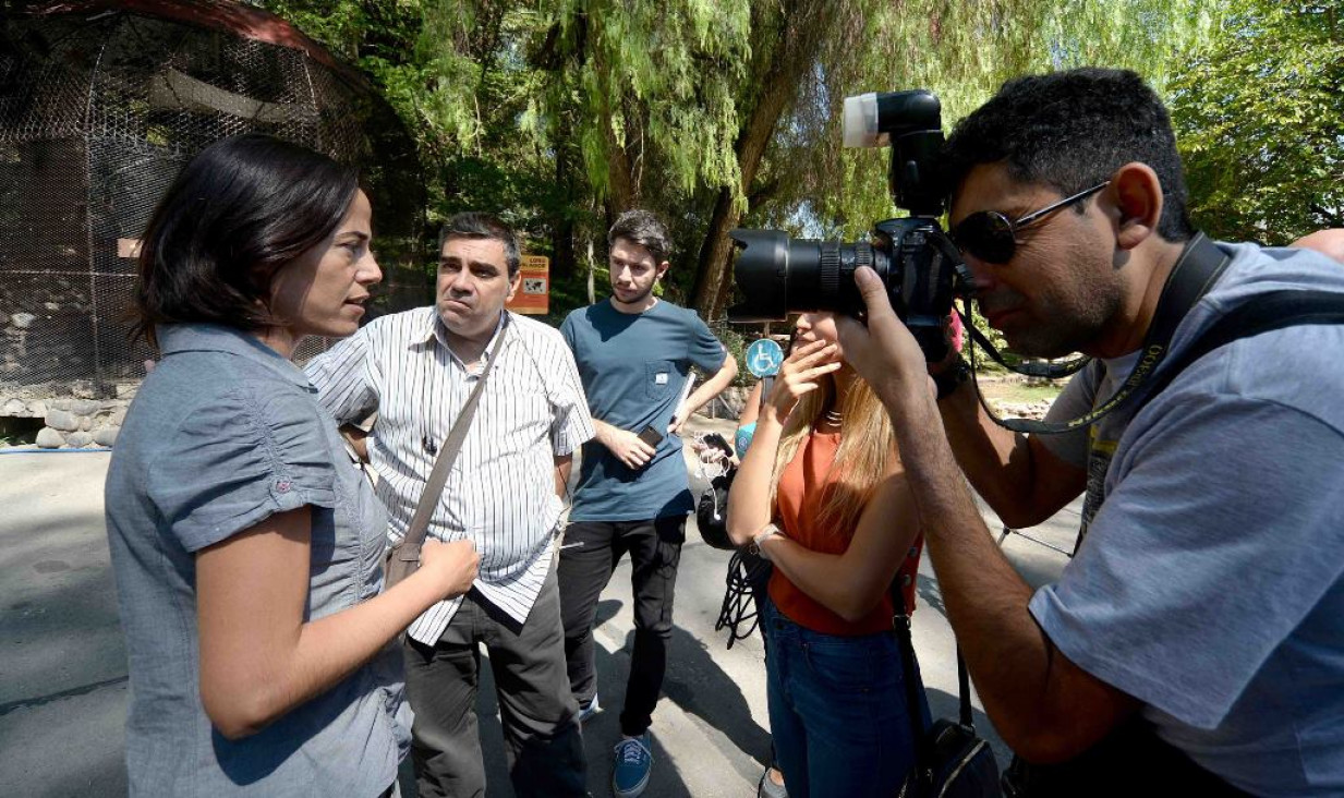 imagen El Zoo, en emergencia ambiental
