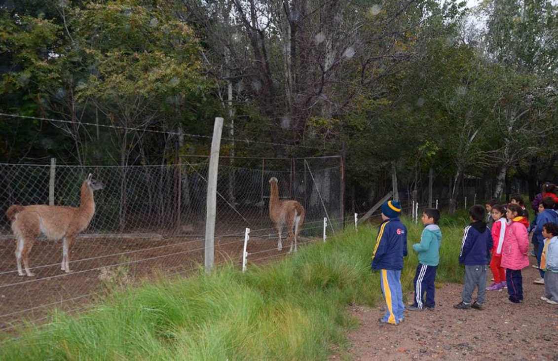imagen Los animales del Zoo murieron intoxicados por carbofurano